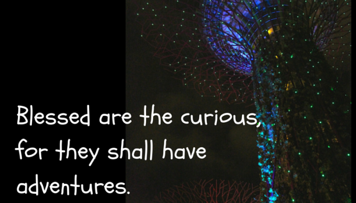 Travel Quote of the Day #2 – curiosity is cool