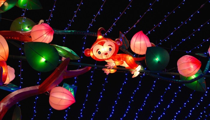 Gong Xi Fa Cai – Happy Chinese New Year 2016