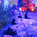 Many people, myself included, were flat on their backs for the best experience of the Rhapsodie in Gardens by the Bay. I've seen it at least a dozen times now, and still find it a fairytale. #gardensbythebay #singapore #yoursingapore #madaboutsingapore #instasg #gardenrhapsody