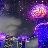 In case you wondered why we were on our backs in my previous pic, it was to look up to this. A light-music show. Garden Rhapsody. Isn't it pretty?! #gardenrhapsody #instasg #madaboutsingapore #yoursingapore #singapore #gbtb #gardensbythebay